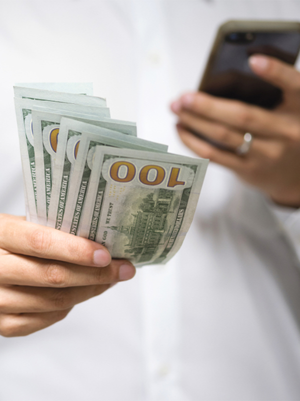 WPS Service (Salary Transfers).jpg Image