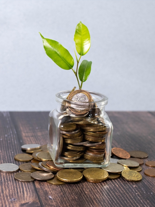 Saving Account .jpg Image